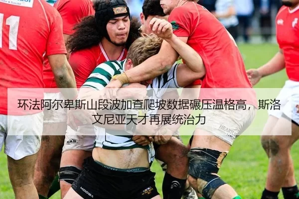 huan-fa-a-er-bei-si-shan-duan-bo-jia-cha-pa-po-shu-ju-nian-ya-wen-ge-gao-si-luo-wen-ni-ya-tian-cai-zai-zhan-tong-zhi-li-3-226.jpg