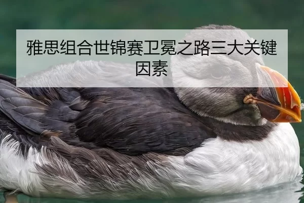 雅思组合世锦赛卫冕之路三大关键因素