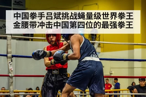 boxing match action